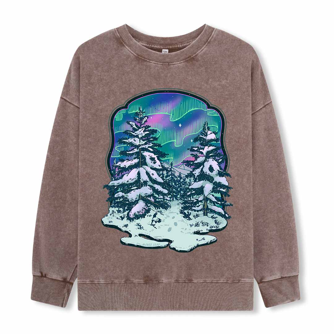 Winter Aurora Washed Sweatshirt