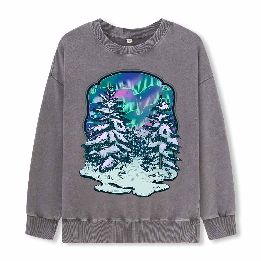 Winter Aurora Washed Sweatshirt