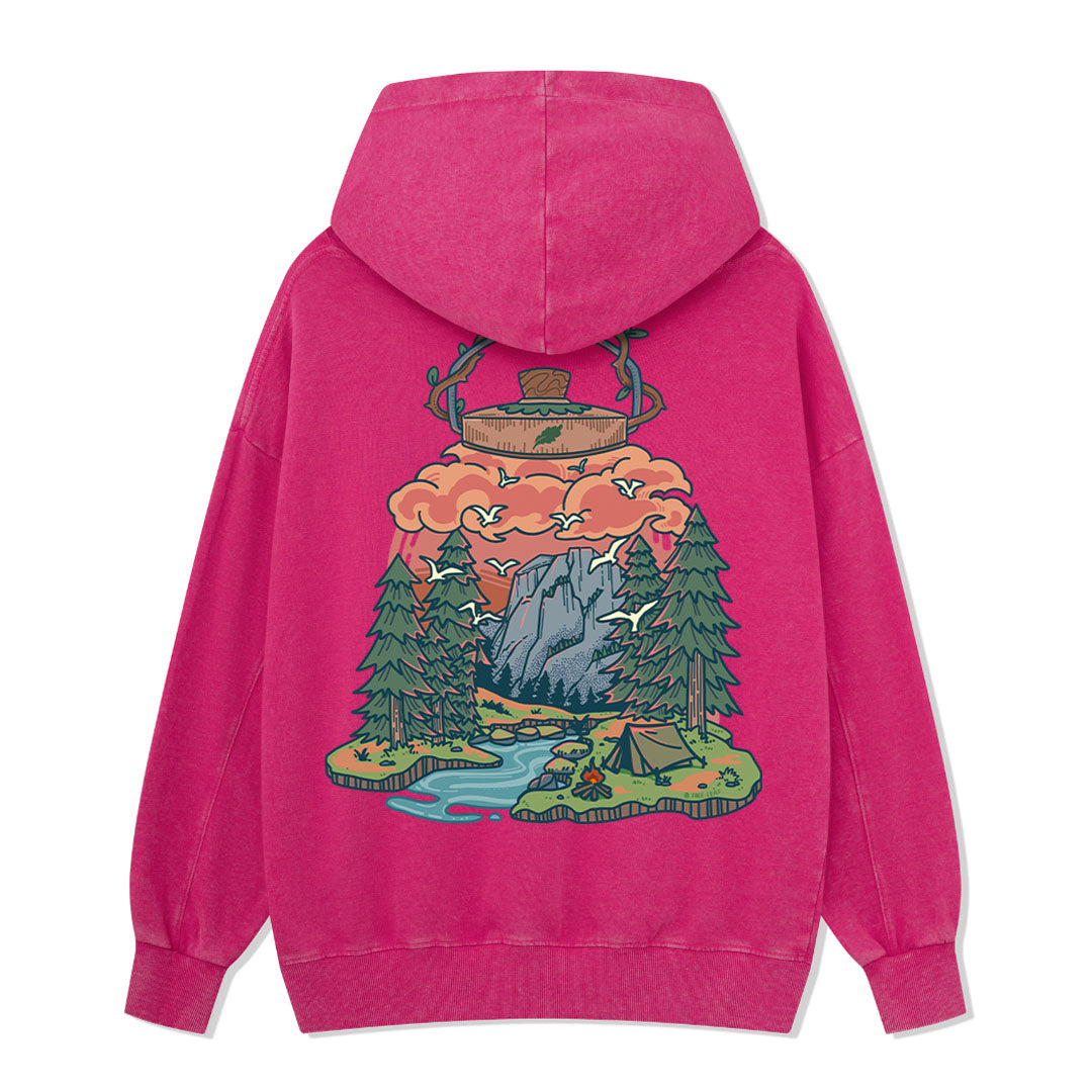 Go And Discover Washed Hoodie