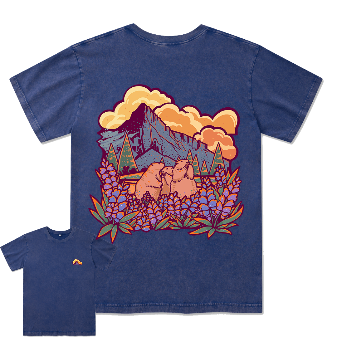 Mount Rainier National Park Washed Tee