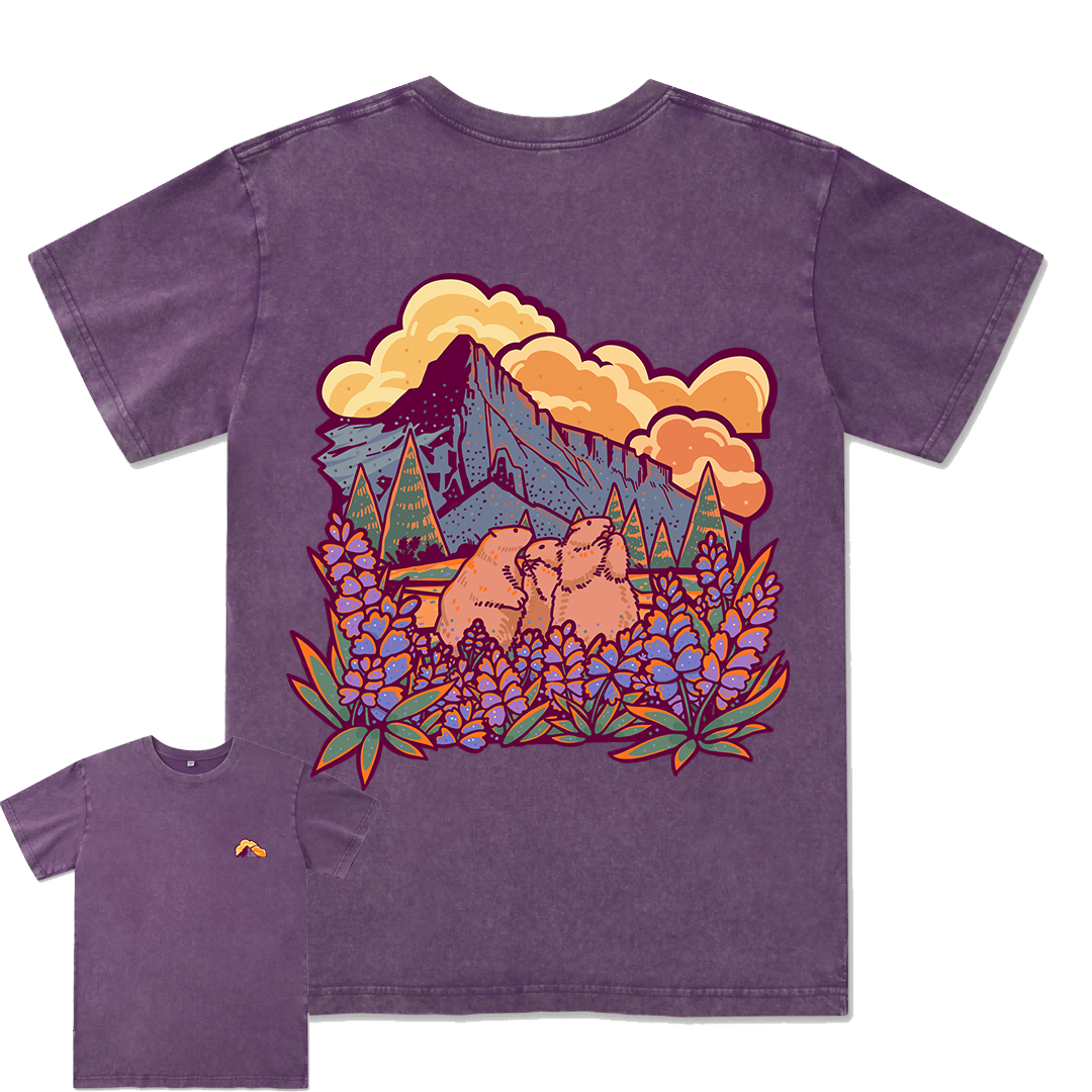 Mount Rainier National Park Washed Tee
