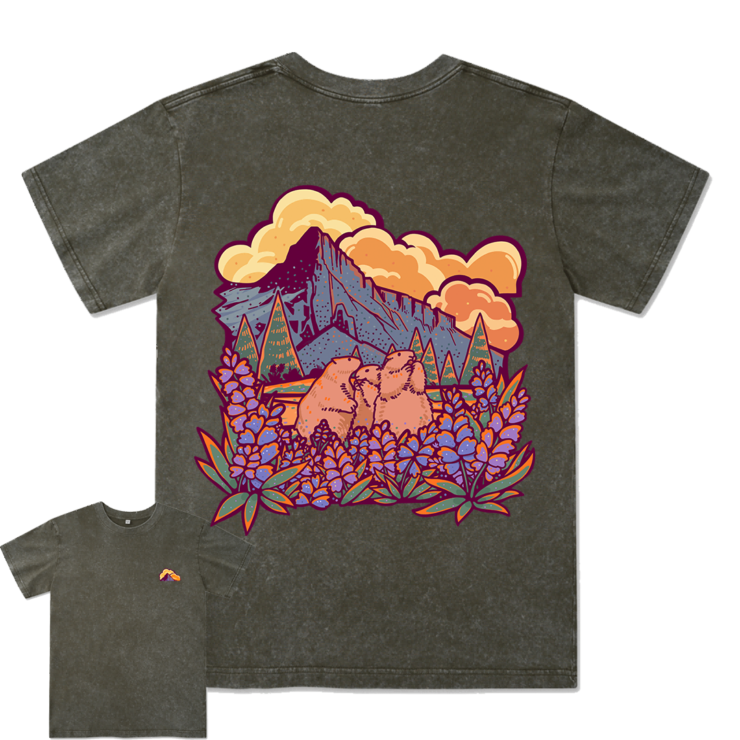 Mount Rainier National Park Washed Tee