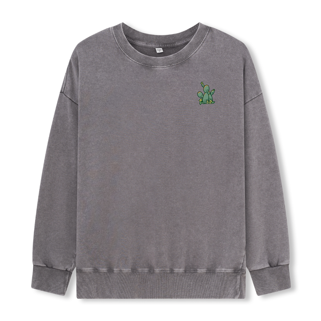 Big Bend National Park Washed Sweatshirt
