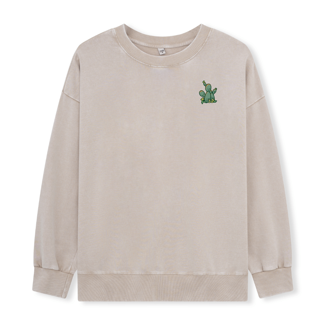 Big Bend National Park Washed Sweatshirt