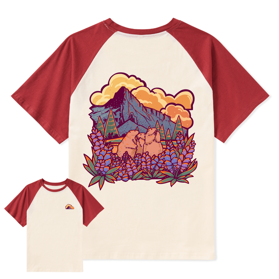 Mount Rainier National Park Raglan Short Sleeve Top