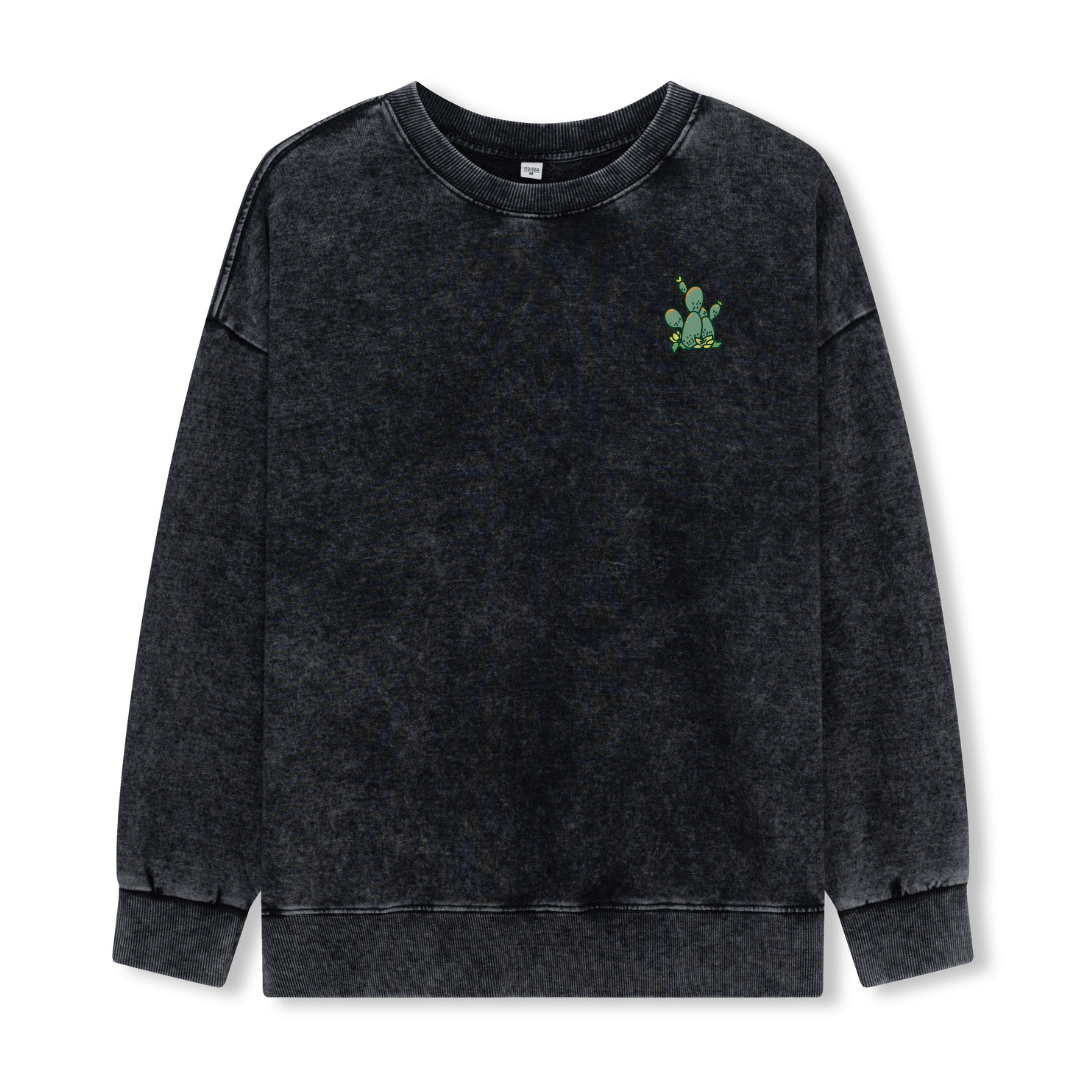 Big Bend National Park Washed Sweatshirt