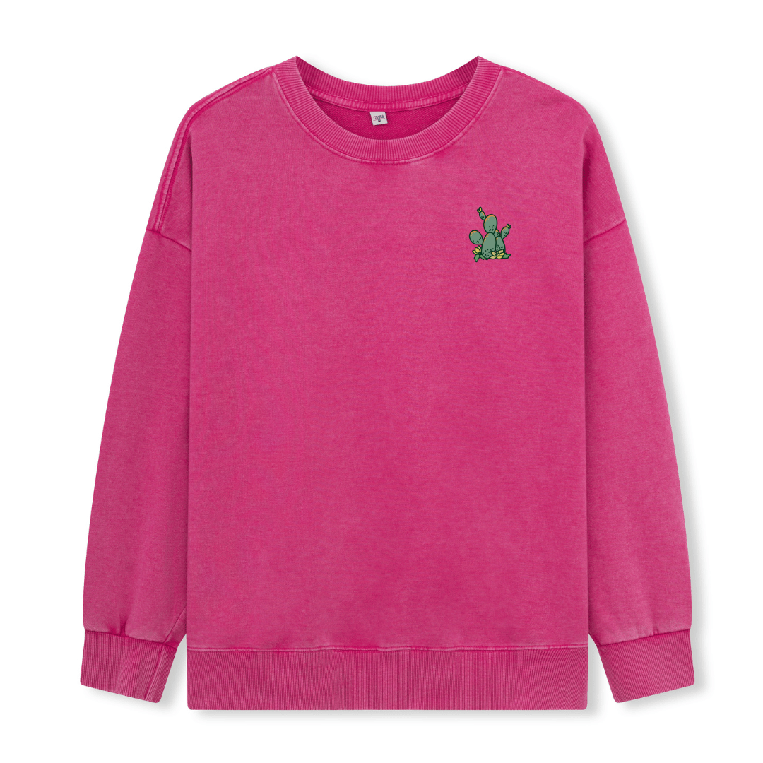 Big Bend National Park Washed Sweatshirt