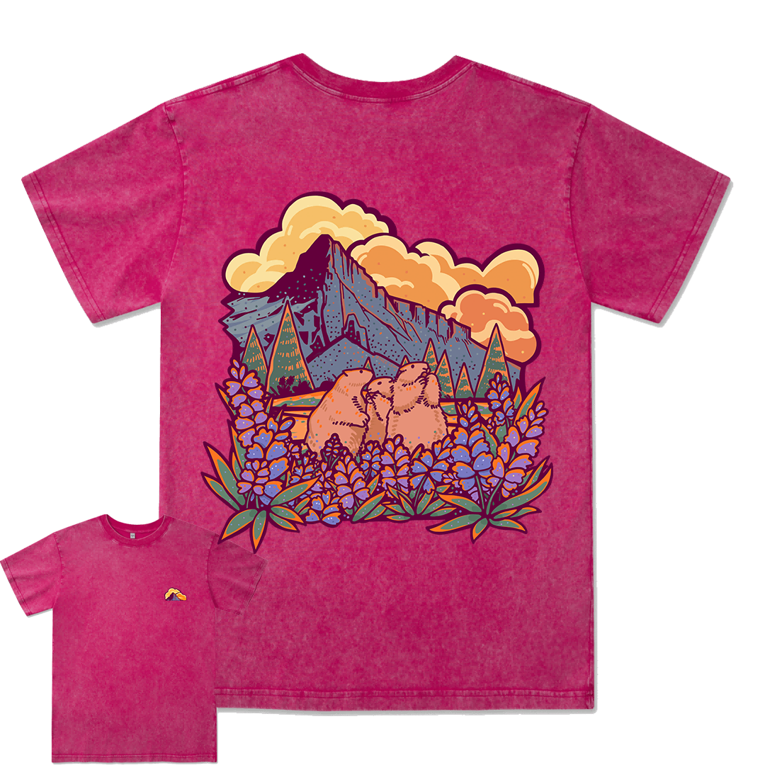 Mount Rainier National Park Washed Tee
