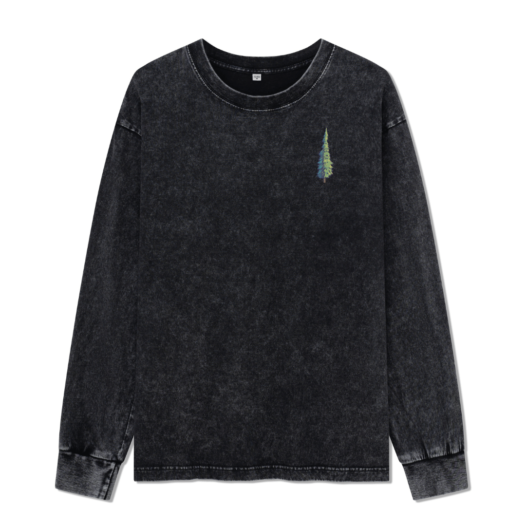 Zion National Park Washed Long Sleeve Top