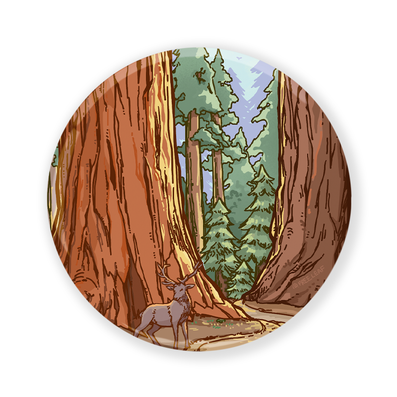 freeleaf-redwood-national-park-badge-pin