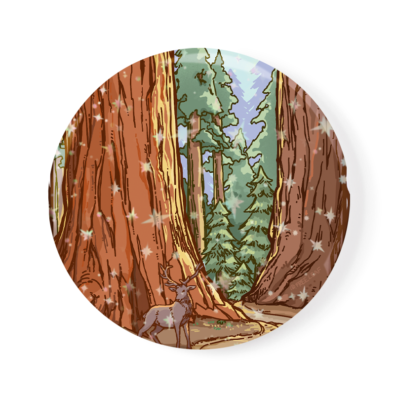freeleaf-redwood-national-park-badge-pin