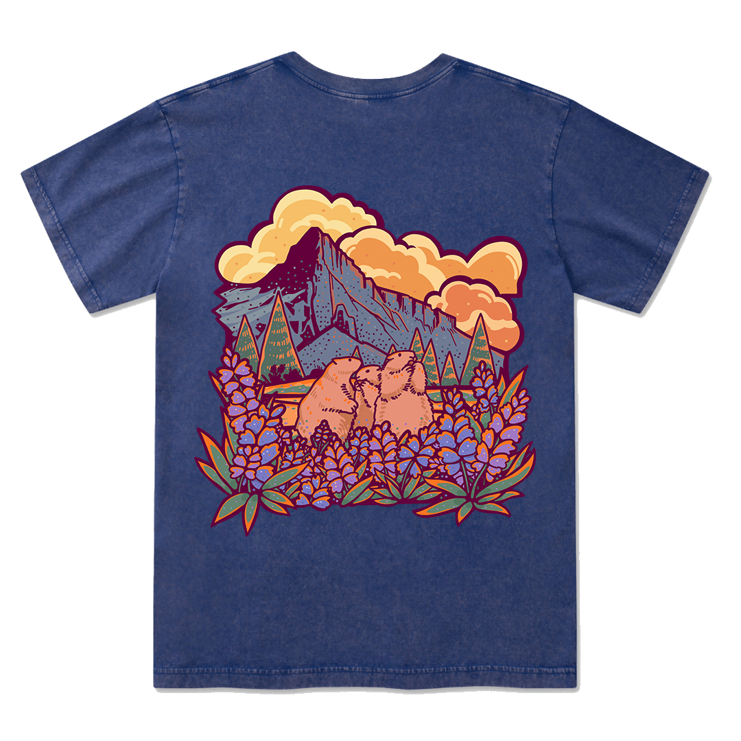 Mount Rainier National Park Washed Tee