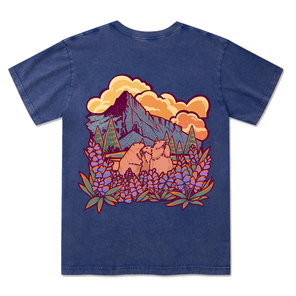 Mount Rainier National Park Washed Tee