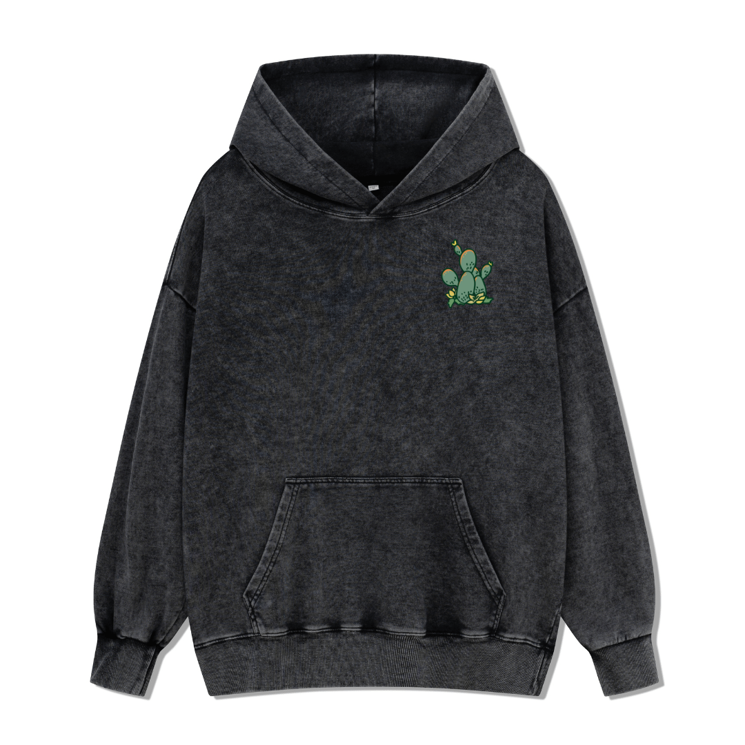 Big Bend National Park Washed Hoodie