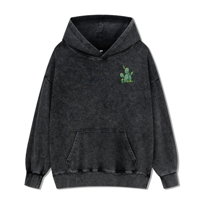 Big Bend National Park Washed Hoodie