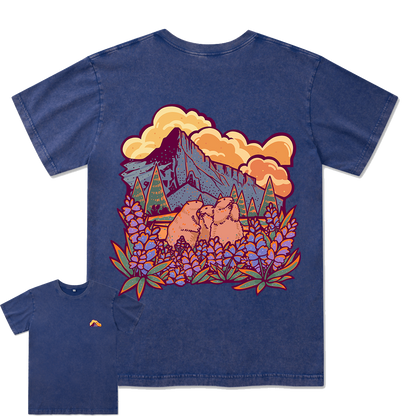 Mount Rainier National Park Washed Tee