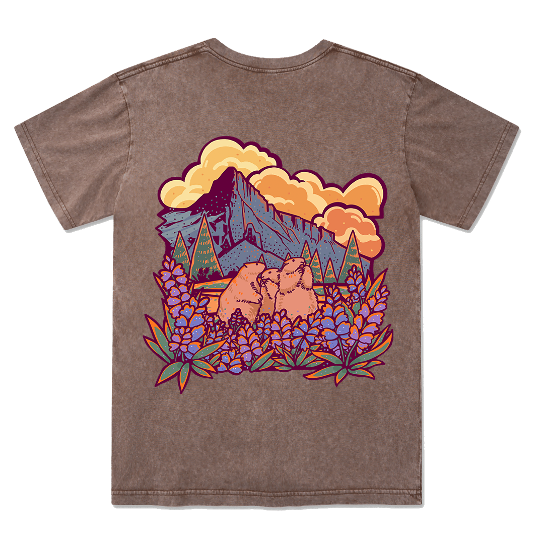 Mount Rainier National Park Washed Tee