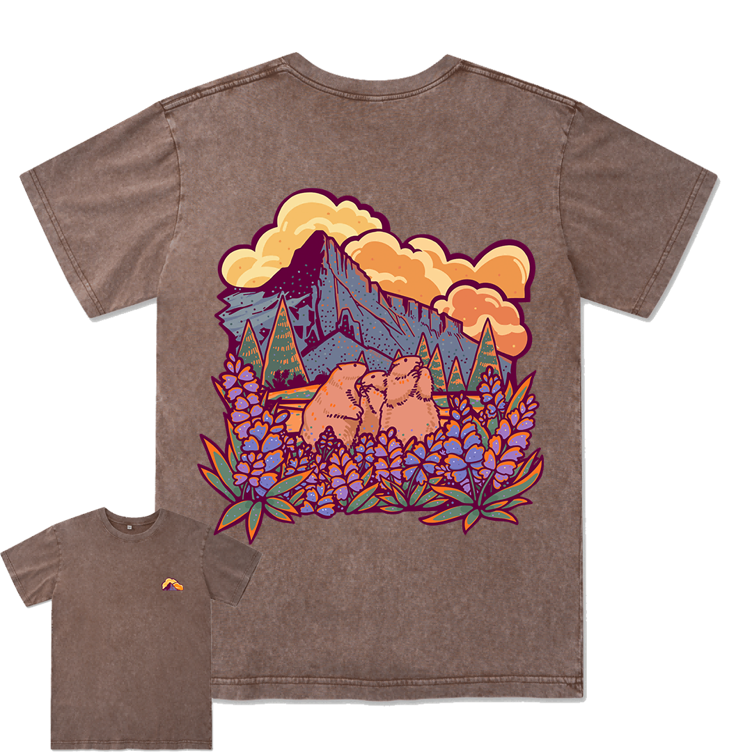 Mount Rainier National Park Washed Tee