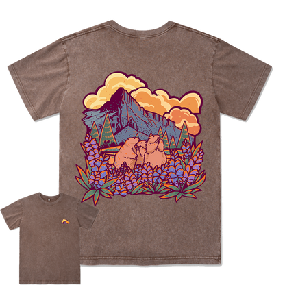 Mount Rainier National Park Washed Tee