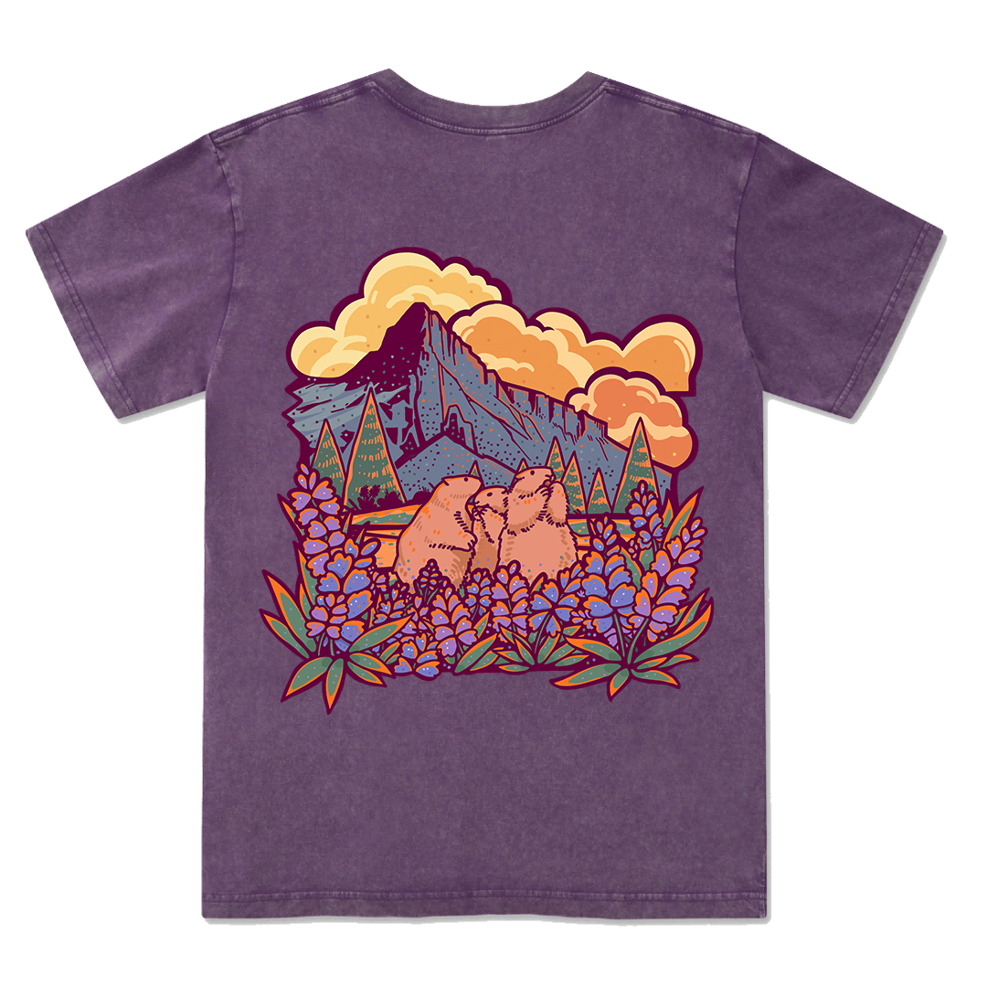 Mount Rainier National Park Washed Tee