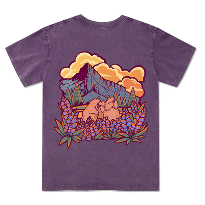 Mount Rainier National Park Washed Tee