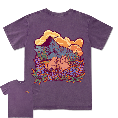 Mount Rainier National Park Washed Tee