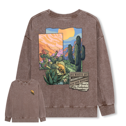 Christian Washed Sweatshirt