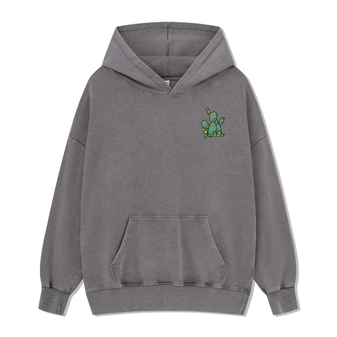 Big Bend National Park Washed Hoodie