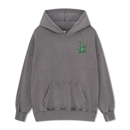 Big Bend National Park Washed Hoodie