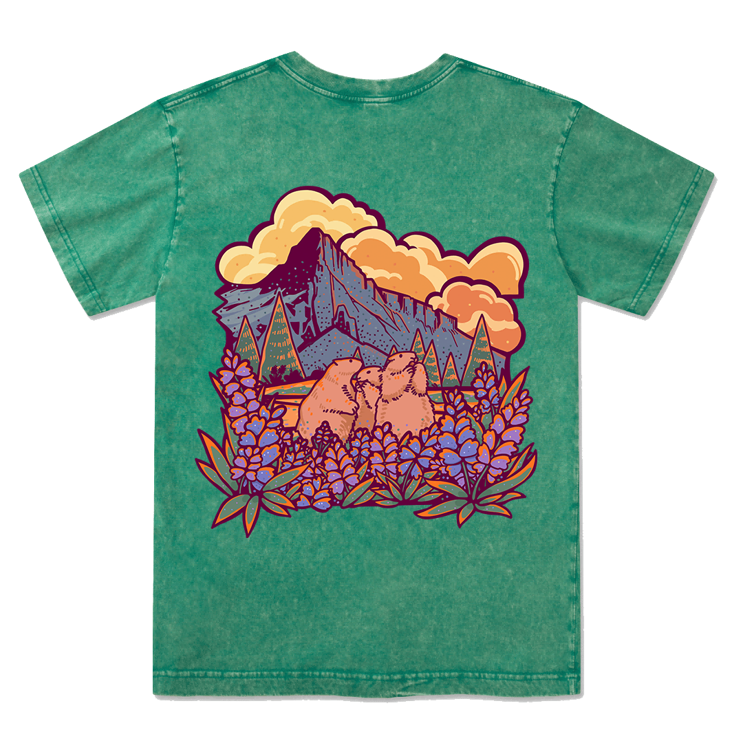 Mount Rainier National Park Washed Tee