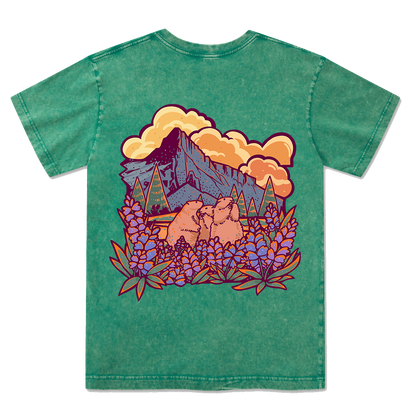 Mount Rainier National Park Washed Tee