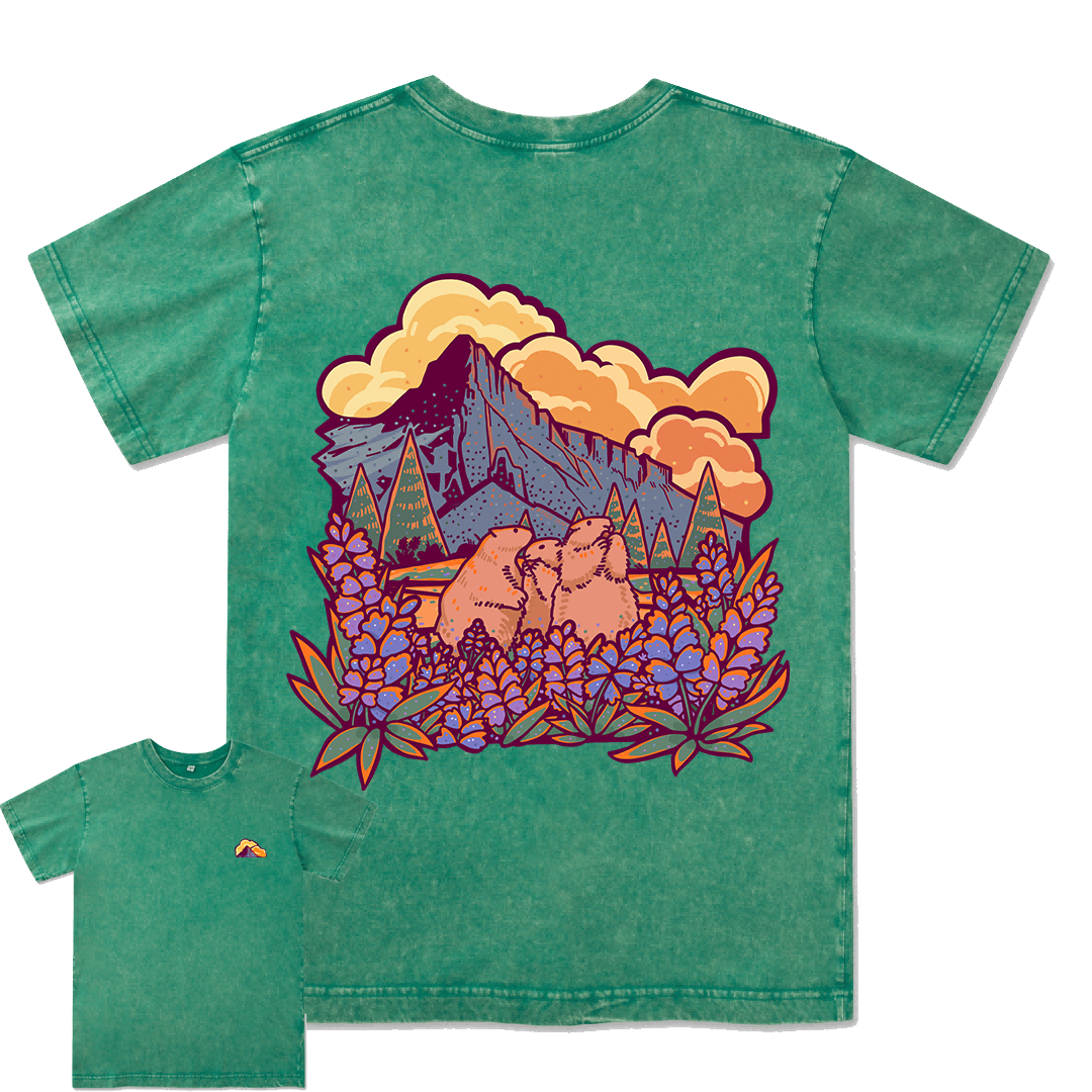 Mount Rainier National Park Washed Tee
