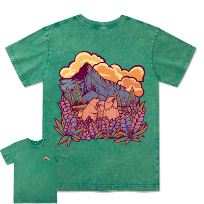 Mount Rainier National Park Washed Tee