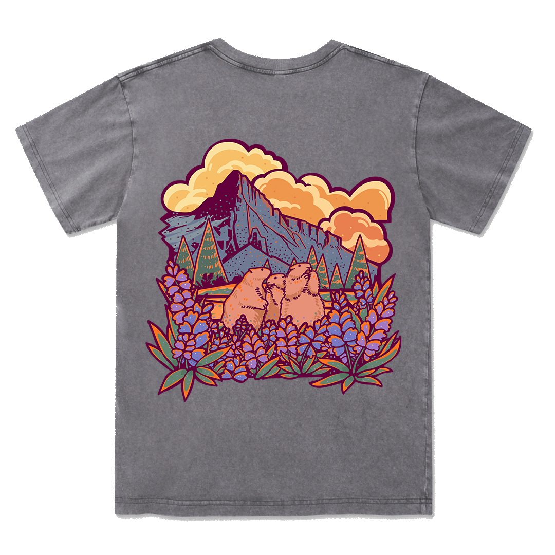 Mount Rainier National Park Washed Tee