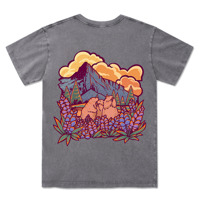 Mount Rainier National Park Washed Tee