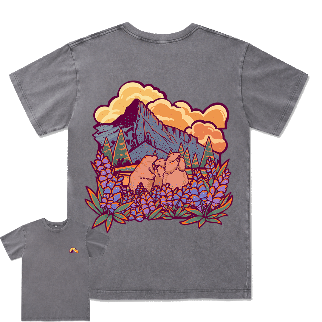 Mount Rainier National Park Washed Tee