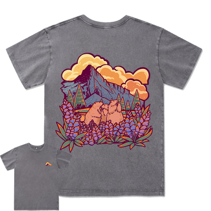 Mount Rainier National Park Washed Tee