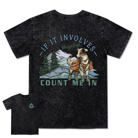 Hiking & Dogs Adventure Washed Tee