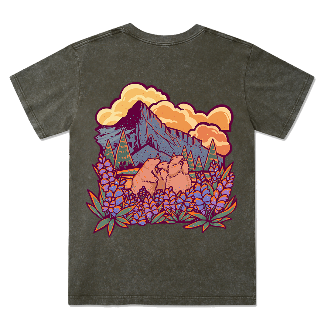 Mount Rainier National Park Washed Tee