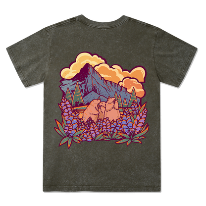 Mount Rainier National Park Washed Tee