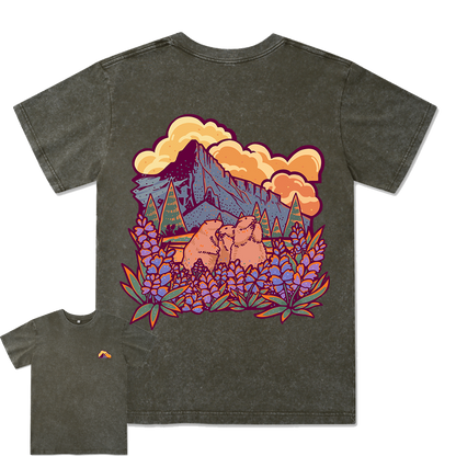 Mount Rainier National Park Washed Tee