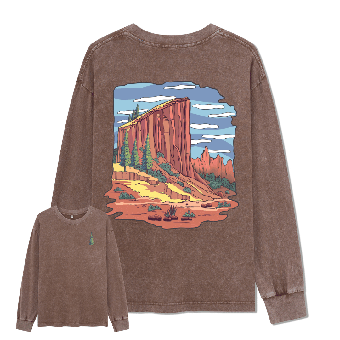 Zion National Park Washed Long Sleeve Top