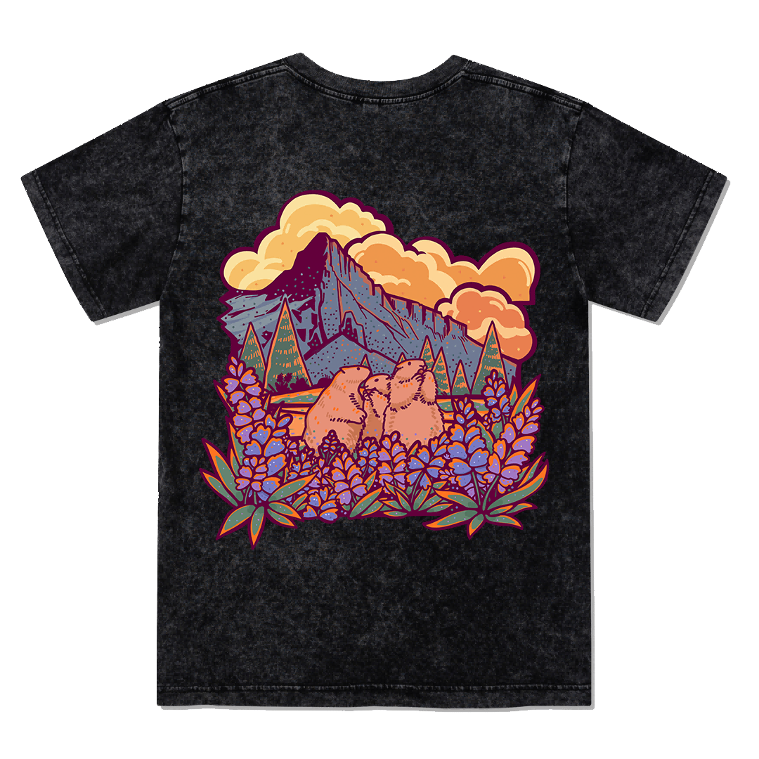 Mount Rainier National Park Washed Tee