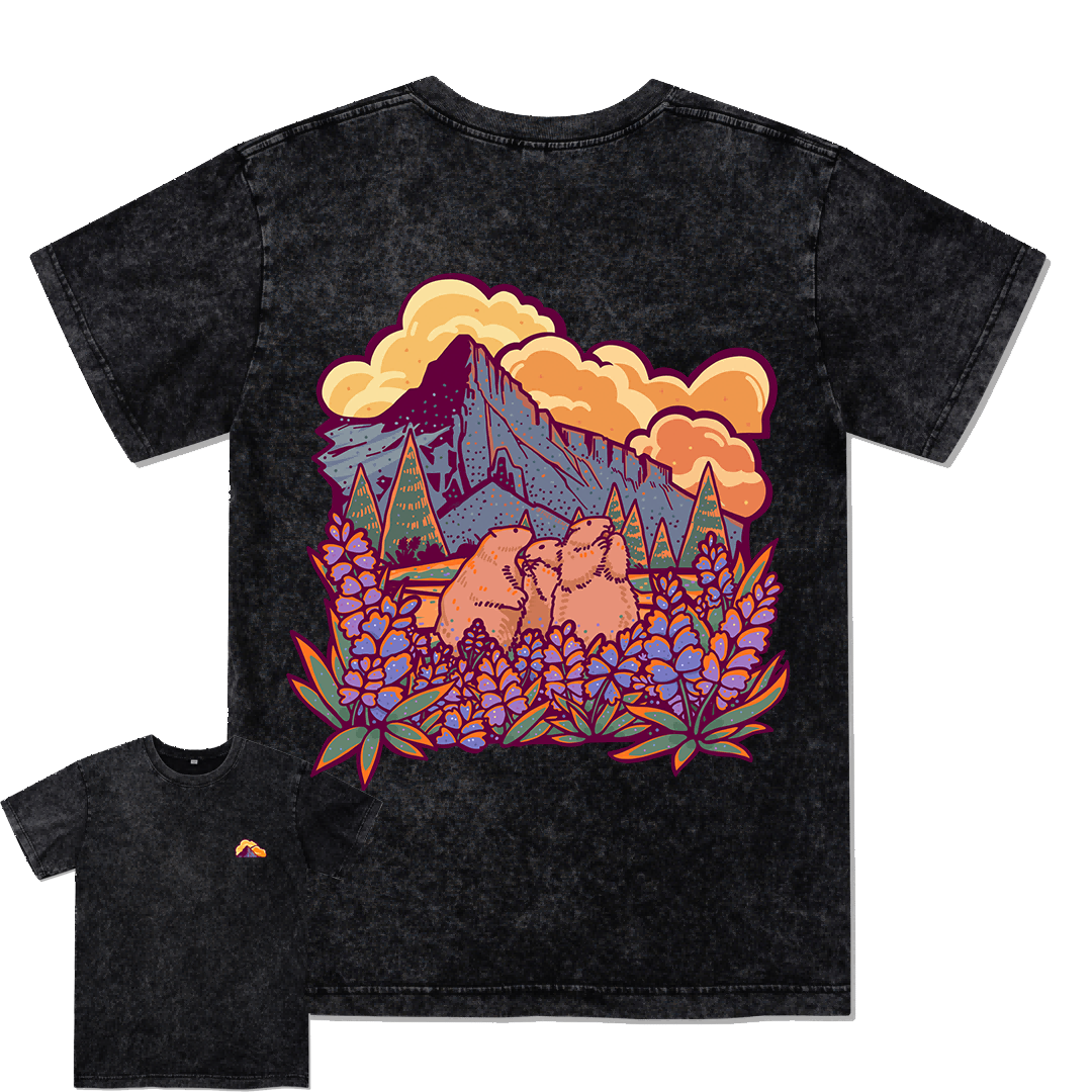 Mount Rainier National Park Washed Tee