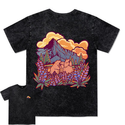 Mount Rainier National Park Washed Tee