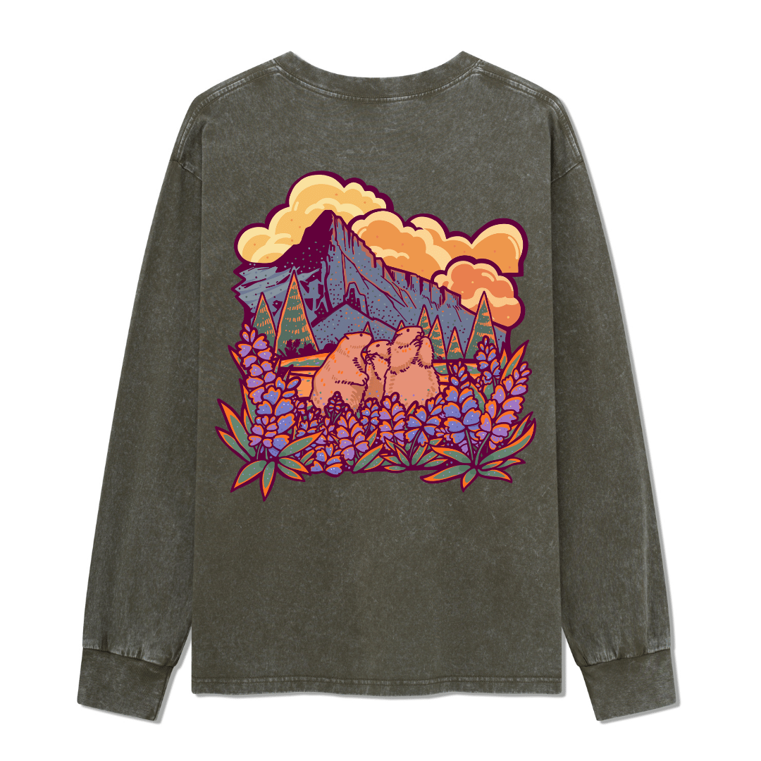 Mount Rainier National Park Washed Long Sleeve Top