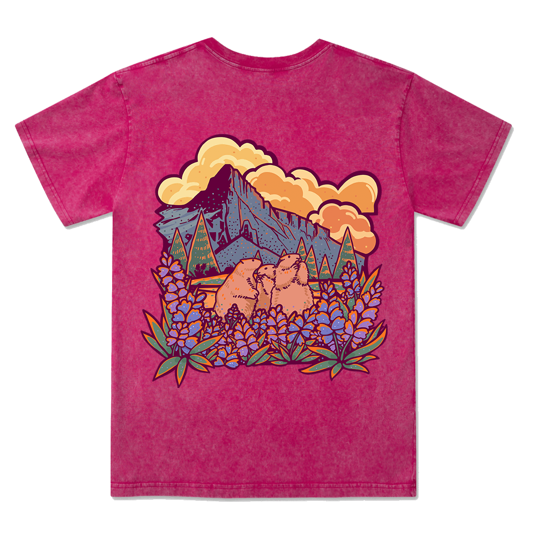 Mount Rainier National Park Washed Tee