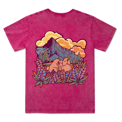 Mount Rainier National Park Washed Tee