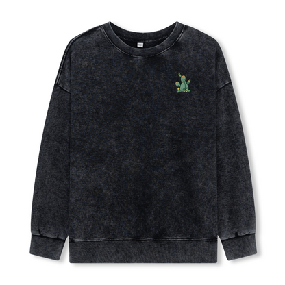 Big Bend National Park Washed Sweatshirt