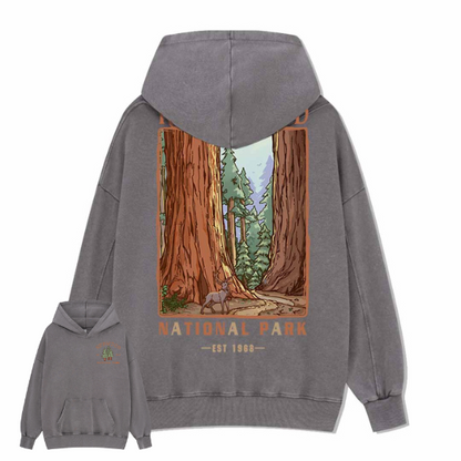 Redwood National Park Washed Hoodie